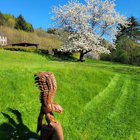 Blue Pension Свобода-над-Упоу Екстер'єр фото