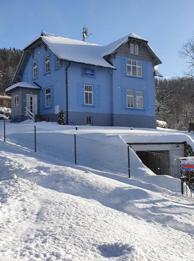 Blue Pension Свобода-над-Упоу Екстер'єр фото