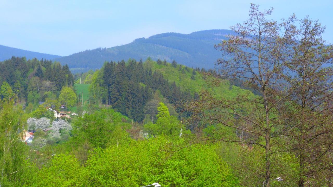 Blue Pension Свобода-над-Упоу Екстер'єр фото