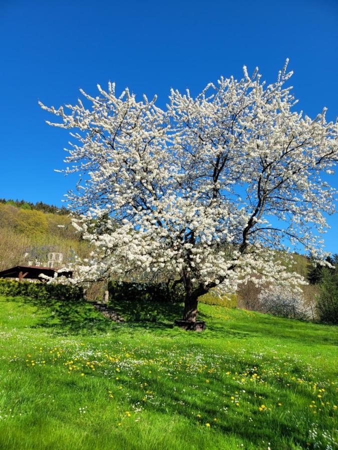 Blue Pension Свобода-над-Упоу Екстер'єр фото