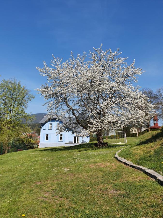 Blue Pension Свобода-над-Упоу Екстер'єр фото
